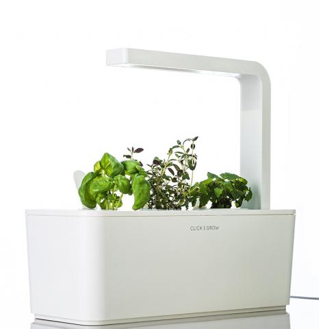 Click & Grow Smart Herb Garden Starter Kit