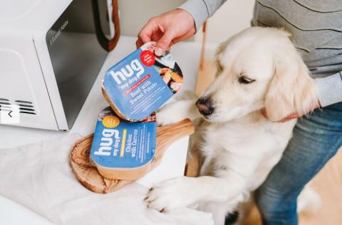 Labrador smelling the Hug Pet Food as it's being put in the oven. 