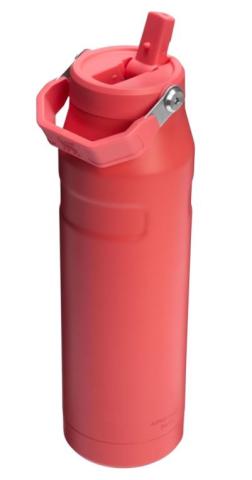 coral water bottle with flip up straw and carrying handle 