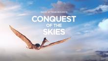 Conquest of the Skies poster. 