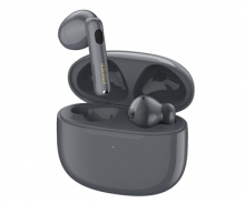 dark grey ear buds in dark grey charging case 