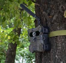 camouflage pattern security camera strapped to tree with black bar from the top of the device to get signal  