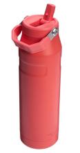 coral water bottle with flip up straw and carrying handle 